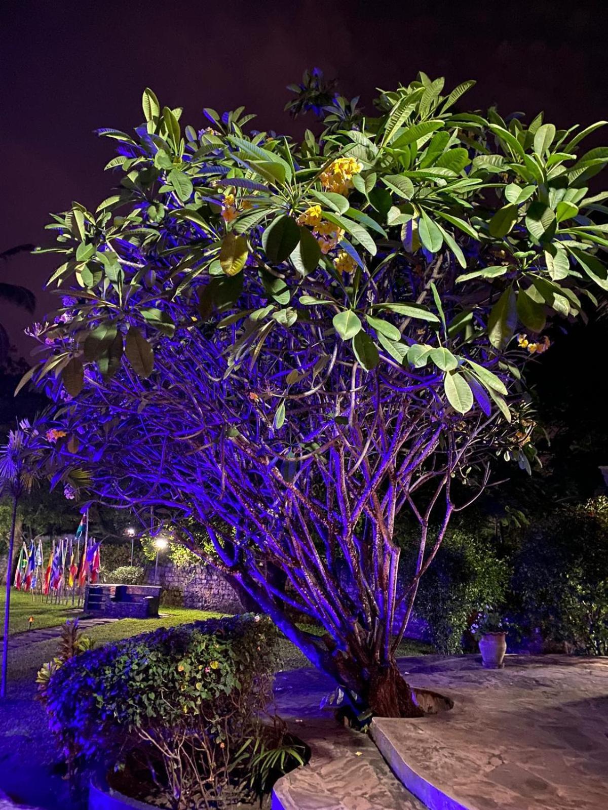 White Nyumba Malindi Apartment Exterior photo